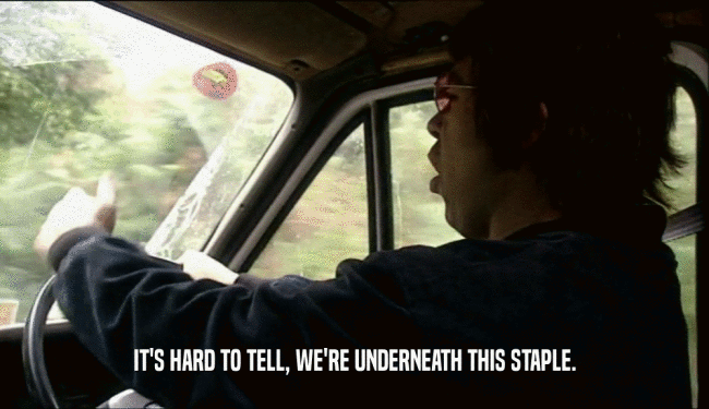 IT'S HARD TO TELL, WE'RE UNDERNEATH THIS STAPLE.  
