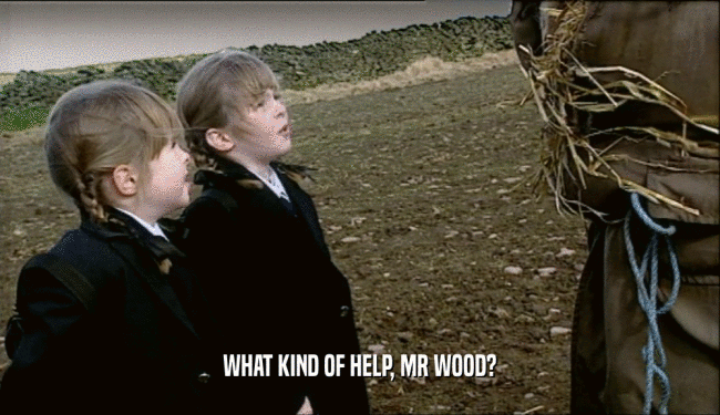 WHAT KIND OF HELP, MR WOOD?  