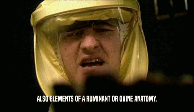 ALSO ELEMENTS OF A RUMINANT OR OVINE ANATOMY.  