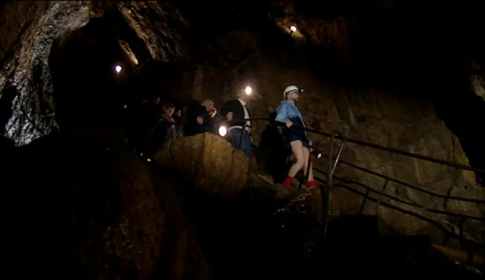 WE'VE HAD ALL THE CELEBRITIES DOWN HERE,  