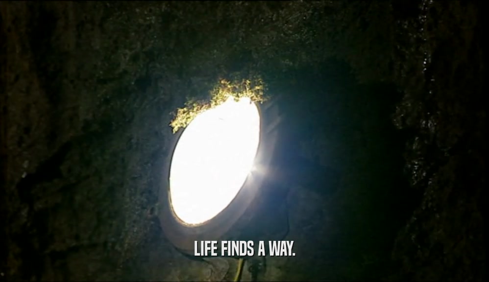 LIFE FINDS A WAY.  