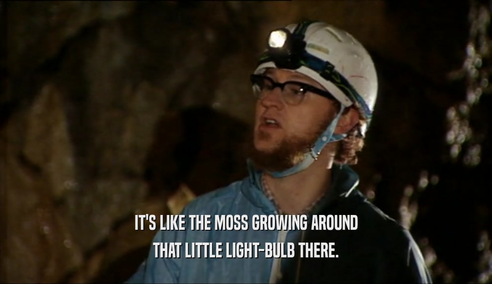 IT'S LIKE THE MOSS GROWING AROUND THAT LITTLE LIGHT-BULB THERE. 