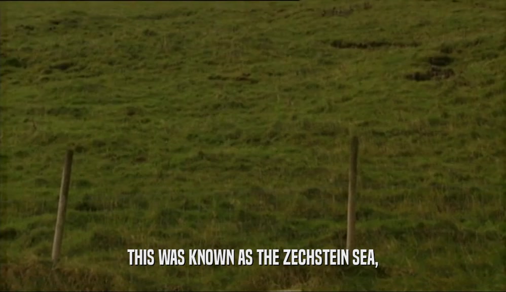 THIS WAS KNOWN AS THE ZECHSTEIN SEA,  