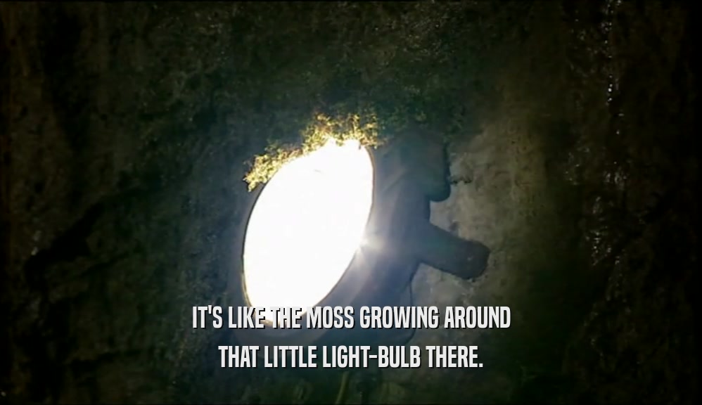 IT'S LIKE THE MOSS GROWING AROUND THAT LITTLE LIGHT-BULB THERE. 