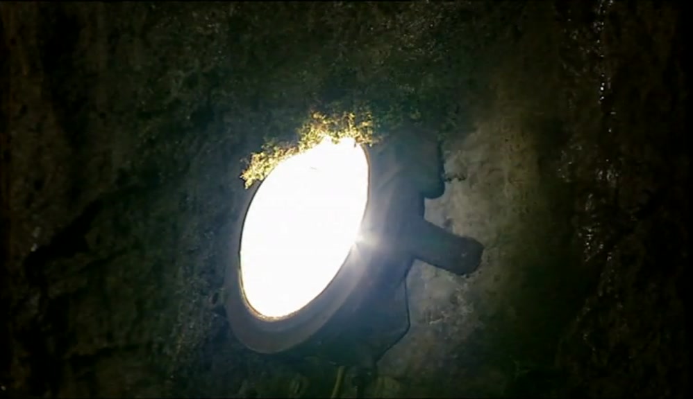 IT'S LIKE THE MOSS GROWING AROUND THAT LITTLE LIGHT-BULB THERE. 