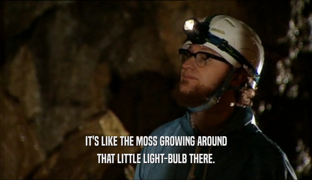 IT'S LIKE THE MOSS GROWING AROUND THAT LITTLE LIGHT-BULB THERE. 