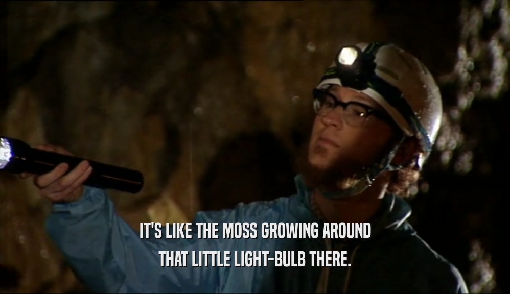 IT'S LIKE THE MOSS GROWING AROUND THAT LITTLE LIGHT-BULB THERE. 