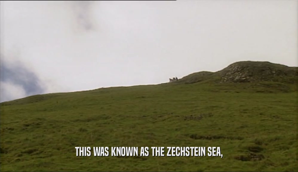 THIS WAS KNOWN AS THE ZECHSTEIN SEA,  