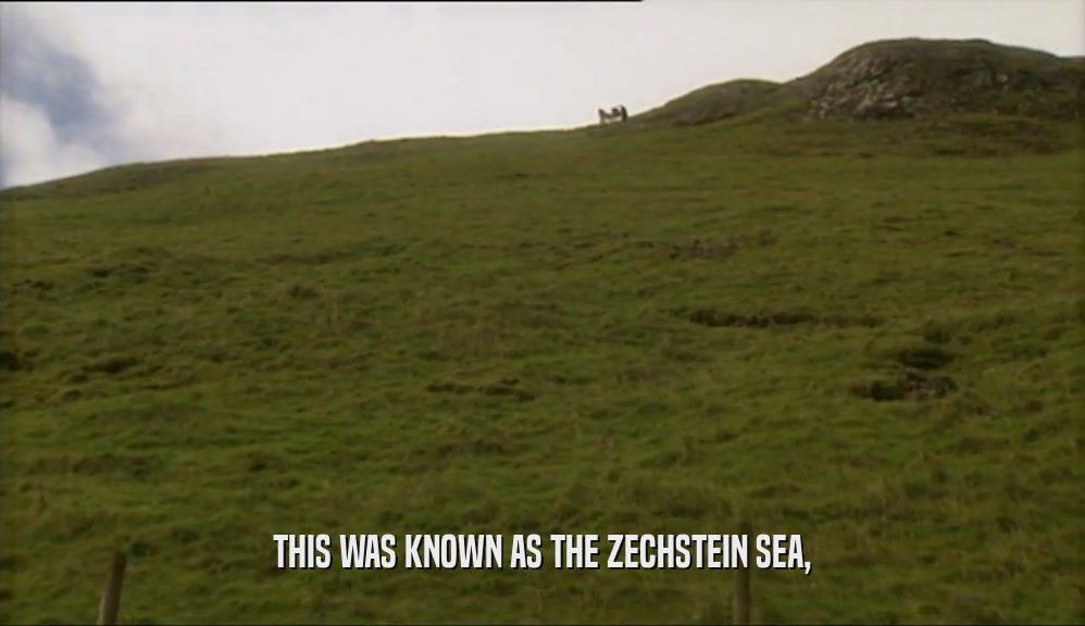 THIS WAS KNOWN AS THE ZECHSTEIN SEA,  