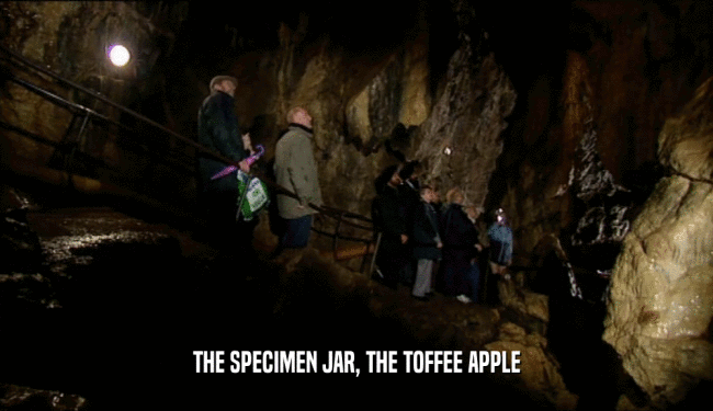 THE SPECIMEN JAR, THE TOFFEE APPLE
  