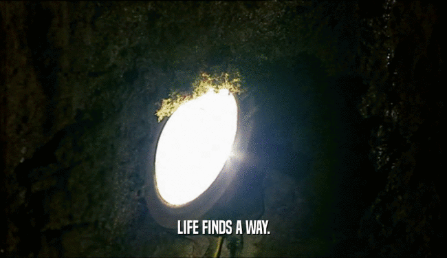 LIFE FINDS A WAY.  