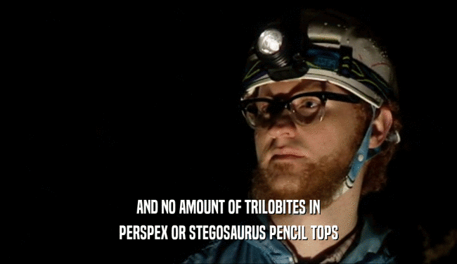 AND NO AMOUNT OF TRILOBITES IN PERSPEX OR STEGOSAURUS PENCIL TOPS 