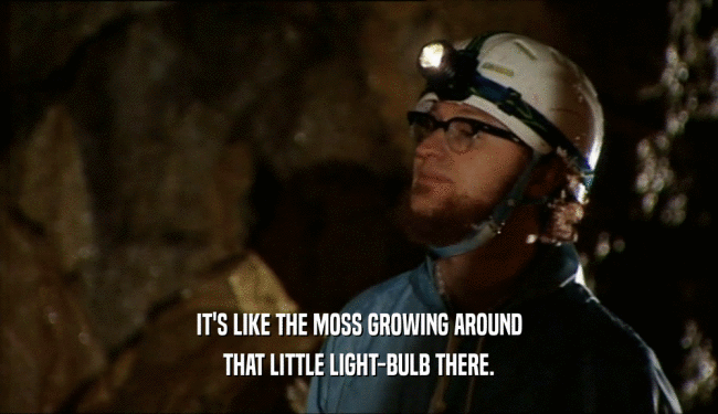 IT'S LIKE THE MOSS GROWING AROUND THAT LITTLE LIGHT-BULB THERE. 