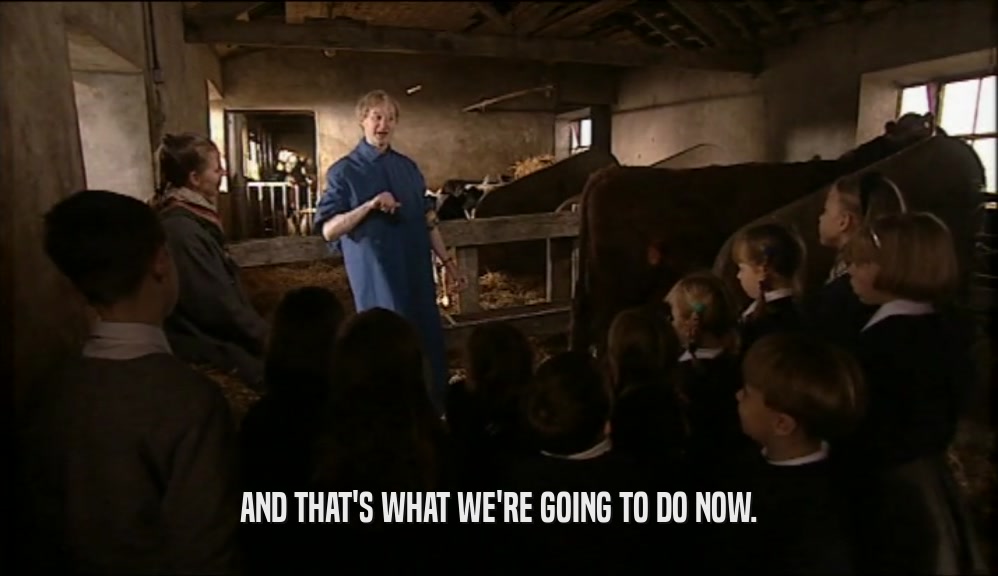 AND THAT'S WHAT WE'RE GOING TO DO NOW.  
