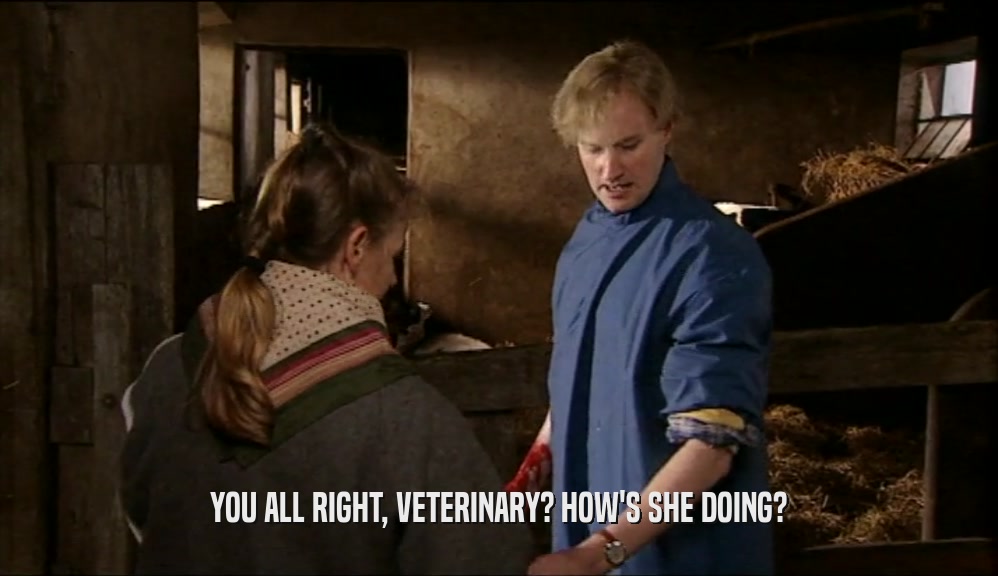 YOU ALL RIGHT, VETERINARY? HOW'S SHE DOING?  