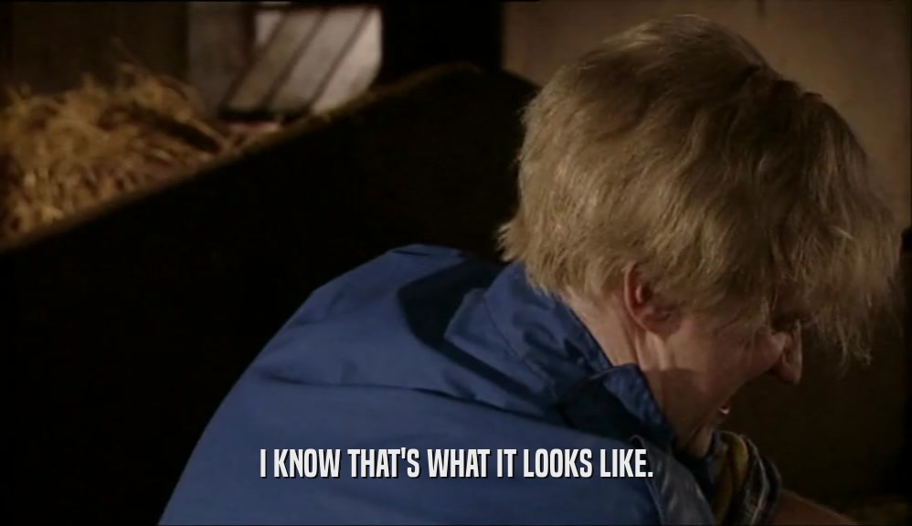 I KNOW THAT'S WHAT IT LOOKS LIKE.  
