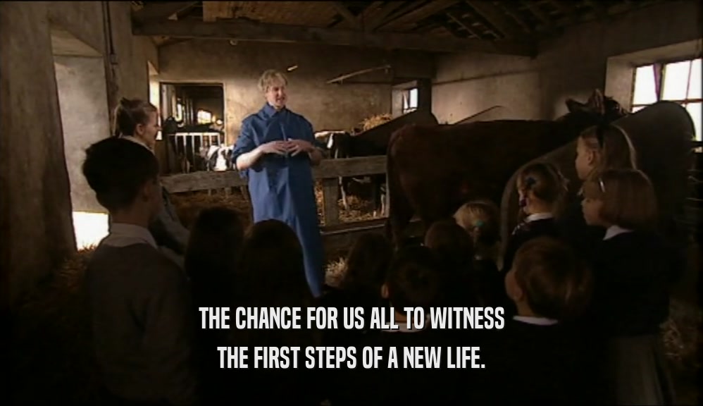 THE CHANCE FOR US ALL TO WITNESS THE FIRST STEPS OF A NEW LIFE. 