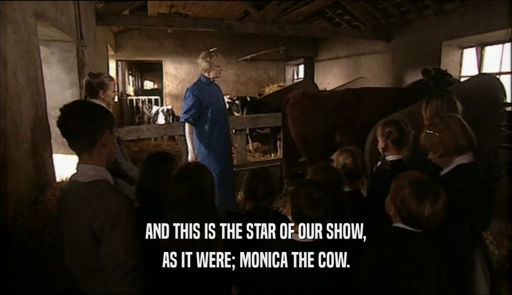 AND THIS IS THE STAR OF OUR SHOW, AS IT WERE; MONICA THE COW. 