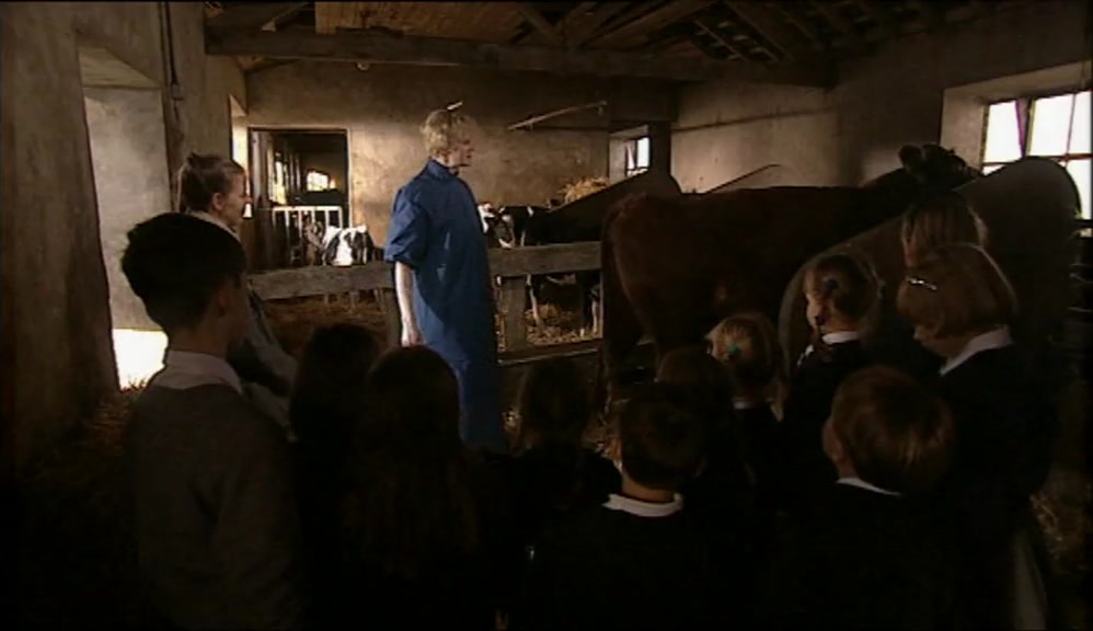 AND THIS IS THE STAR OF OUR SHOW, AS IT WERE; MONICA THE COW. 