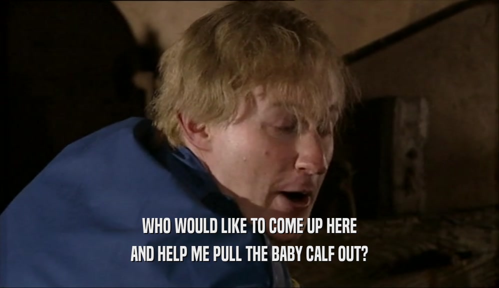 WHO WOULD LIKE TO COME UP HERE AND HELP ME PULL THE BABY CALF OUT? 