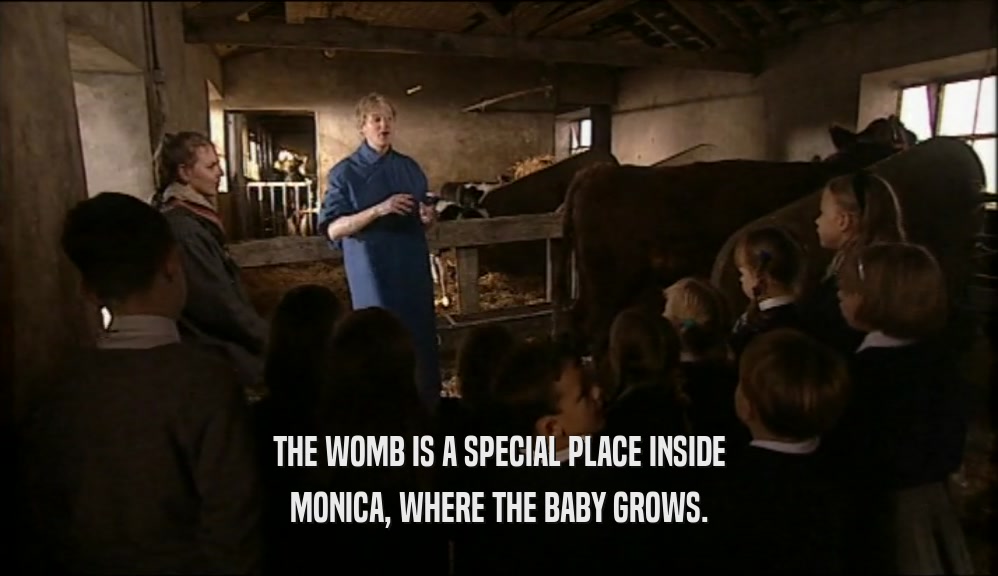 THE WOMB IS A SPECIAL PLACE INSIDE MONICA, WHERE THE BABY GROWS. 