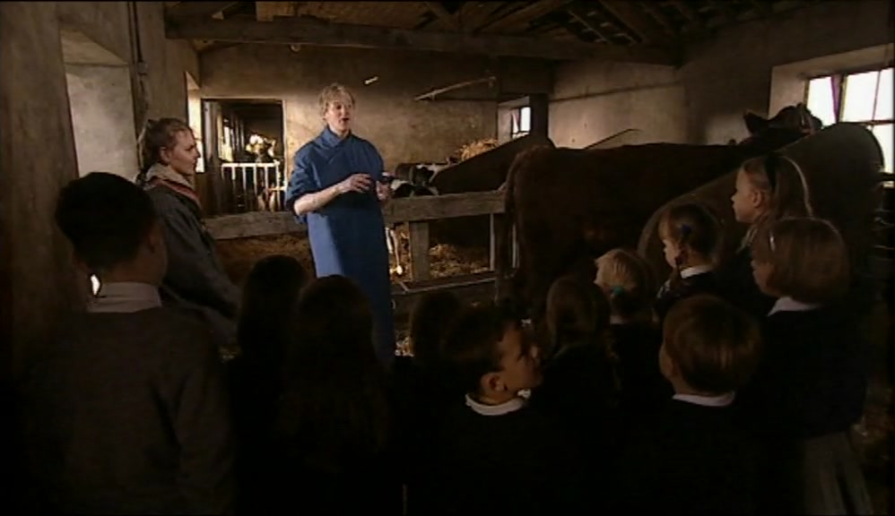 THE WOMB IS A SPECIAL PLACE INSIDE MONICA, WHERE THE BABY GROWS. 