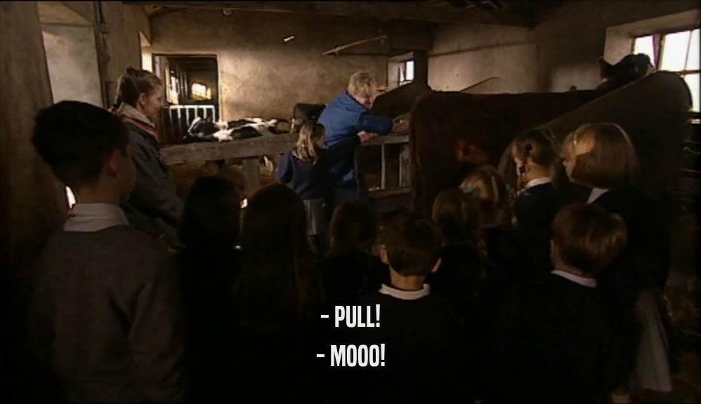 - PULL! - MOOO! 