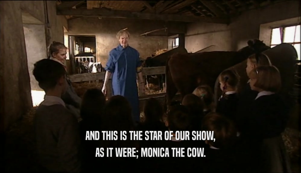 AND THIS IS THE STAR OF OUR SHOW, AS IT WERE; MONICA THE COW. 