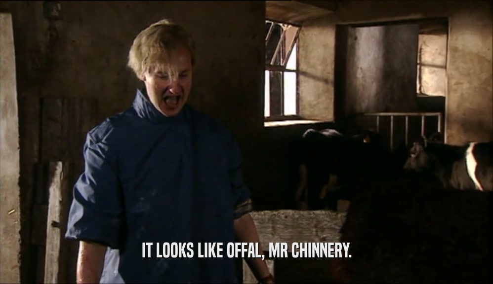 IT LOOKS LIKE OFFAL, MR CHINNERY.  