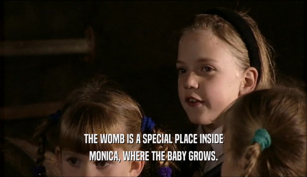 THE WOMB IS A SPECIAL PLACE INSIDE MONICA, WHERE THE BABY GROWS. 