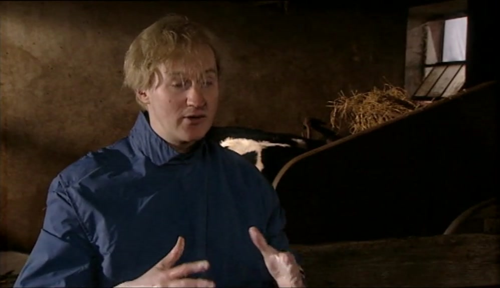 THE LITTLE BABY COW HAS BEEN TRYING TO GET OUT OF ITS MUMMY'S WOMB. YES? 