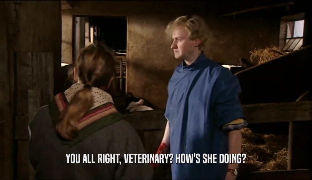 YOU ALL RIGHT, VETERINARY? HOW'S SHE DOING?  