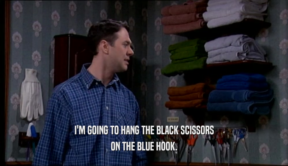 I'M GOING TO HANG THE BLACK SCISSORS ON THE BLUE HOOK. 