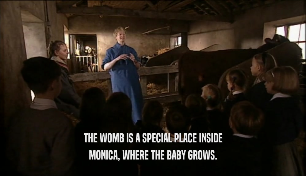 THE WOMB IS A SPECIAL PLACE INSIDE MONICA, WHERE THE BABY GROWS. 