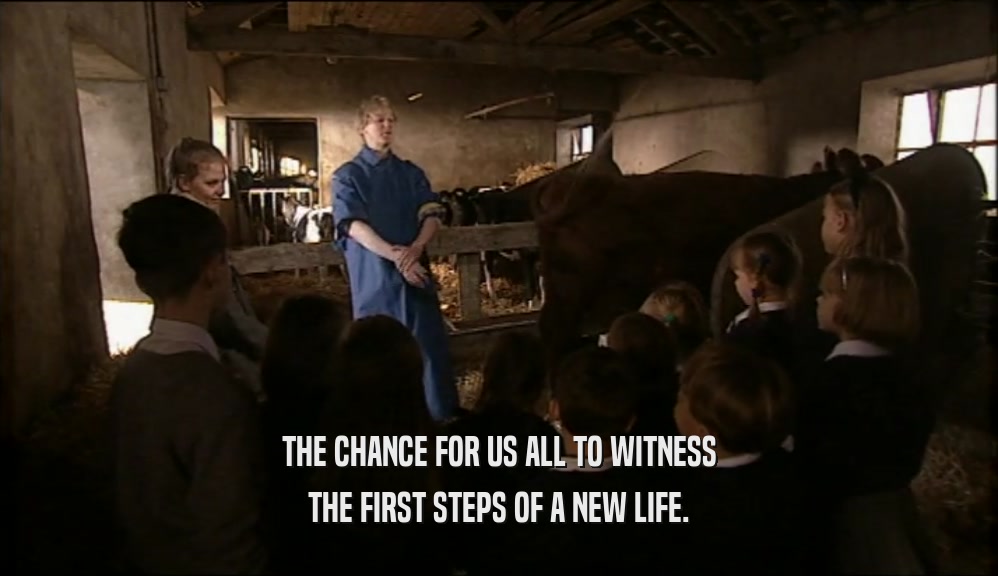THE CHANCE FOR US ALL TO WITNESS THE FIRST STEPS OF A NEW LIFE. 