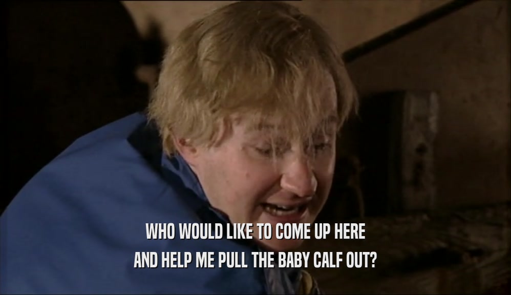 WHO WOULD LIKE TO COME UP HERE AND HELP ME PULL THE BABY CALF OUT? 
