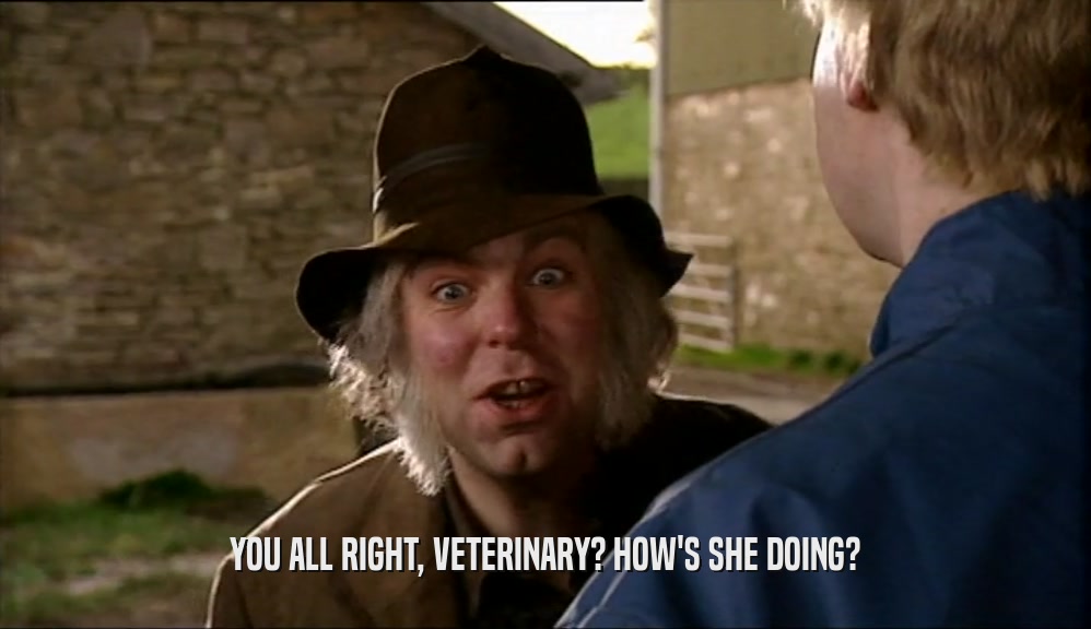 YOU ALL RIGHT, VETERINARY? HOW'S SHE DOING?  