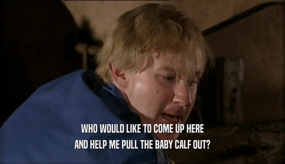 WHO WOULD LIKE TO COME UP HERE AND HELP ME PULL THE BABY CALF OUT? 