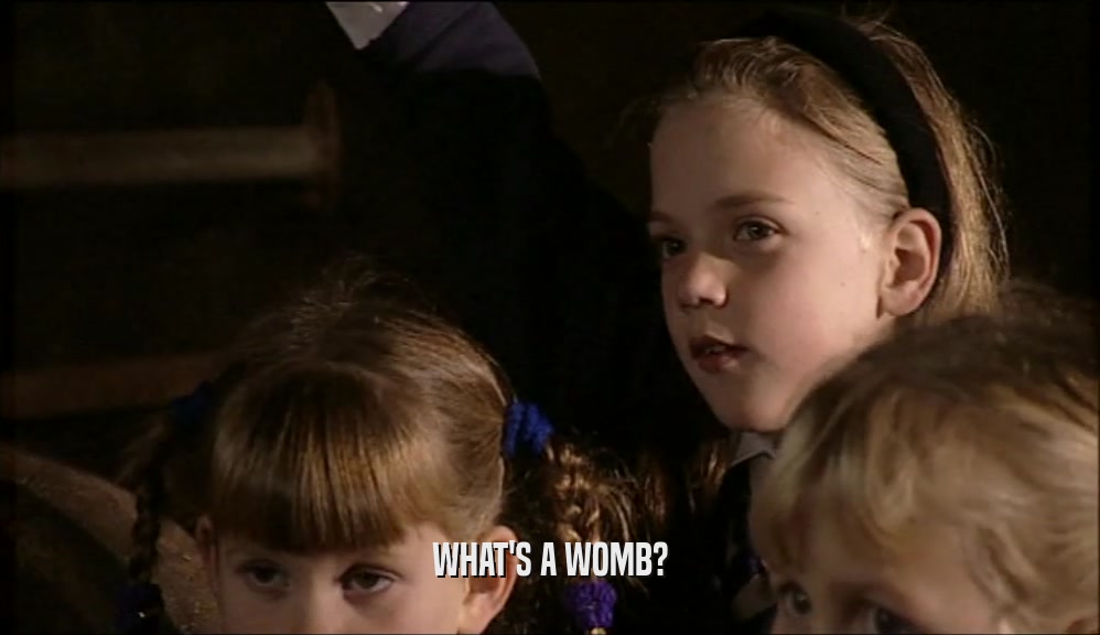 WHAT'S A WOMB?  