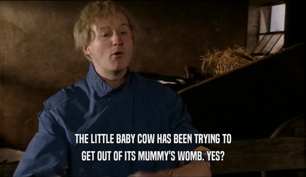 THE LITTLE BABY COW HAS BEEN TRYING TO GET OUT OF ITS MUMMY'S WOMB. YES? 