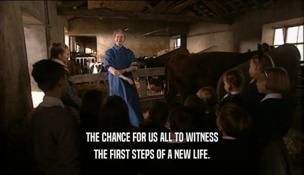 THE CHANCE FOR US ALL TO WITNESS THE FIRST STEPS OF A NEW LIFE. 