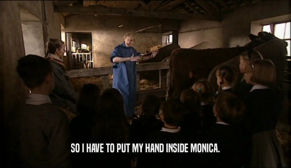SO I HAVE TO PUT MY HAND INSIDE MONICA.  