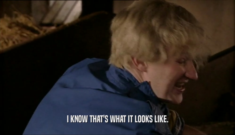 I KNOW THAT'S WHAT IT LOOKS LIKE.  