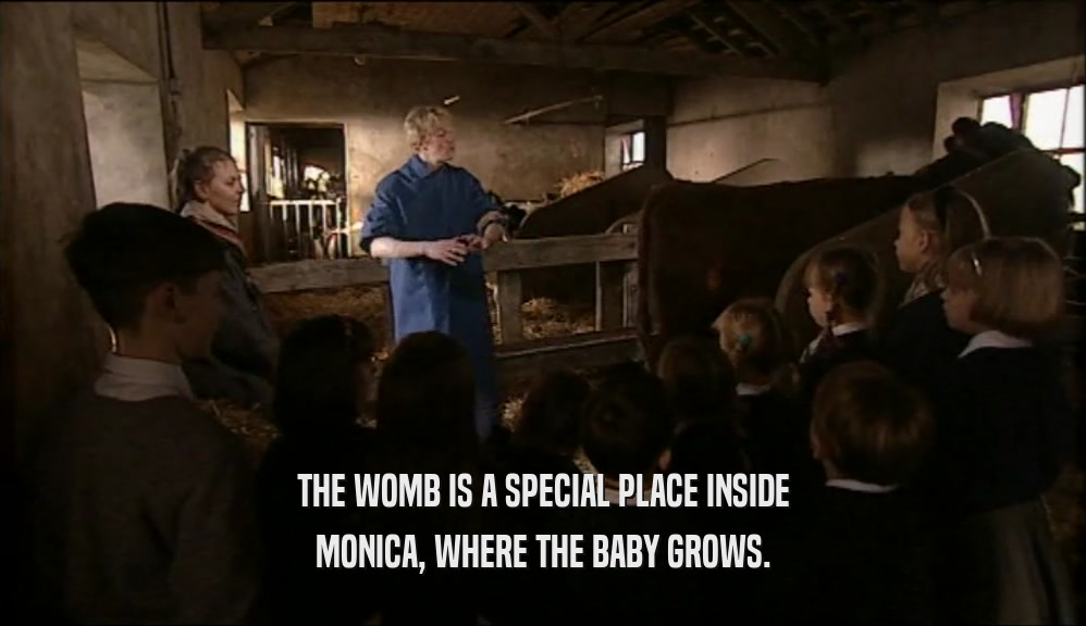 THE WOMB IS A SPECIAL PLACE INSIDE MONICA, WHERE THE BABY GROWS. 
