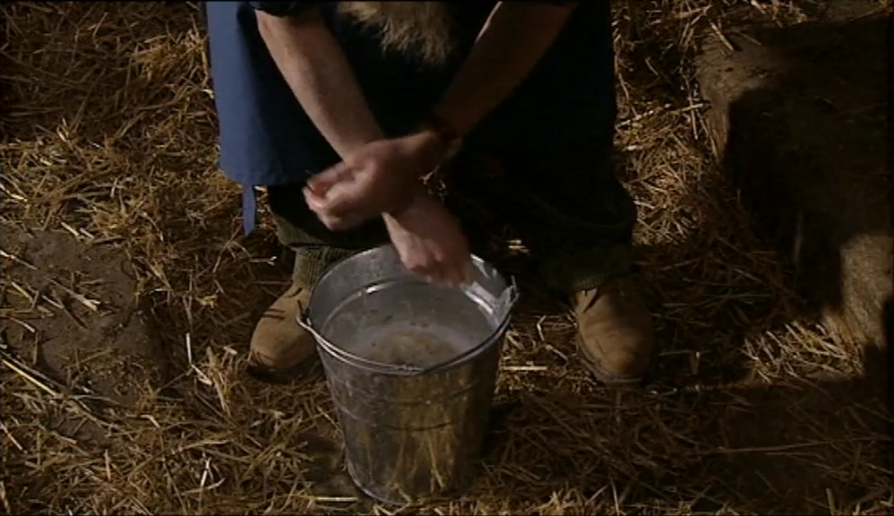 ALL RIGHT, EVERYONE. I HOPE YOU ENJOY YOUR TRIP TO MR TINSEL'S FARM. 
