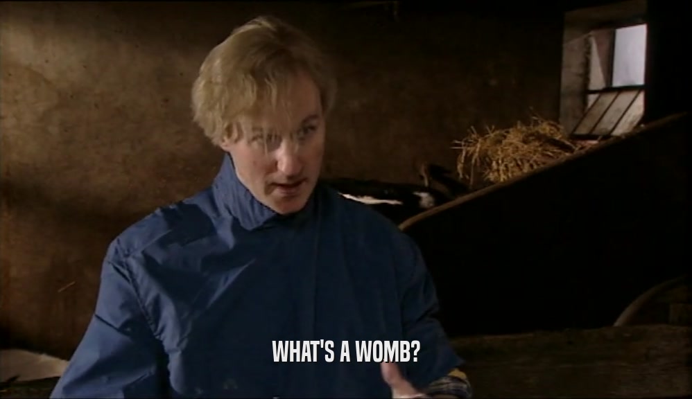 WHAT'S A WOMB?  