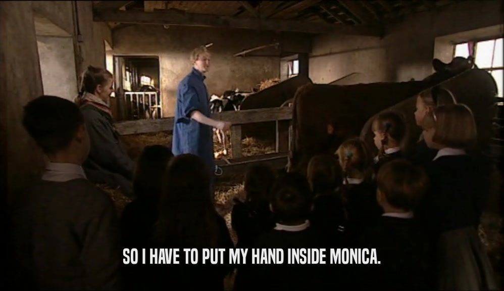 SO I HAVE TO PUT MY HAND INSIDE MONICA.
  