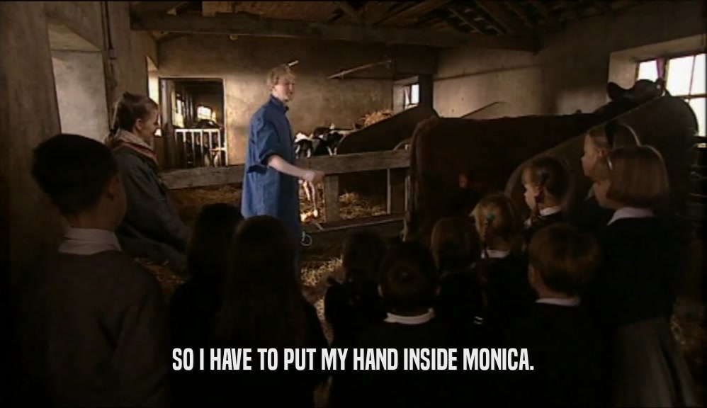 SO I HAVE TO PUT MY HAND INSIDE MONICA.  