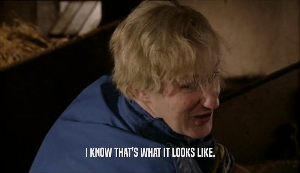 I KNOW THAT'S WHAT IT LOOKS LIKE.  