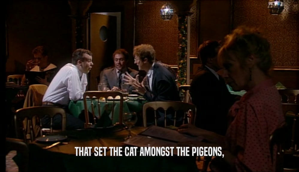THAT SET THE CAT AMONGST THE PIGEONS,  